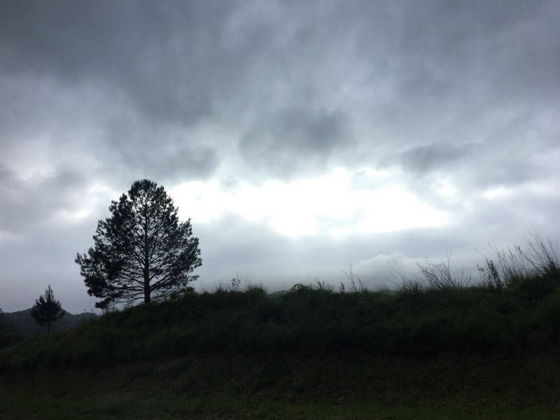 lomastro luciano fotografía