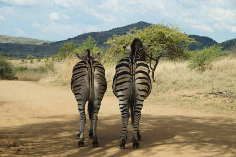 lomastro luciano fotografía