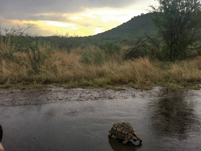 lomastro luciano fotografía