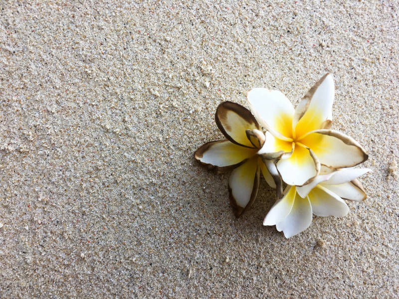 lomastro luciano fotografía