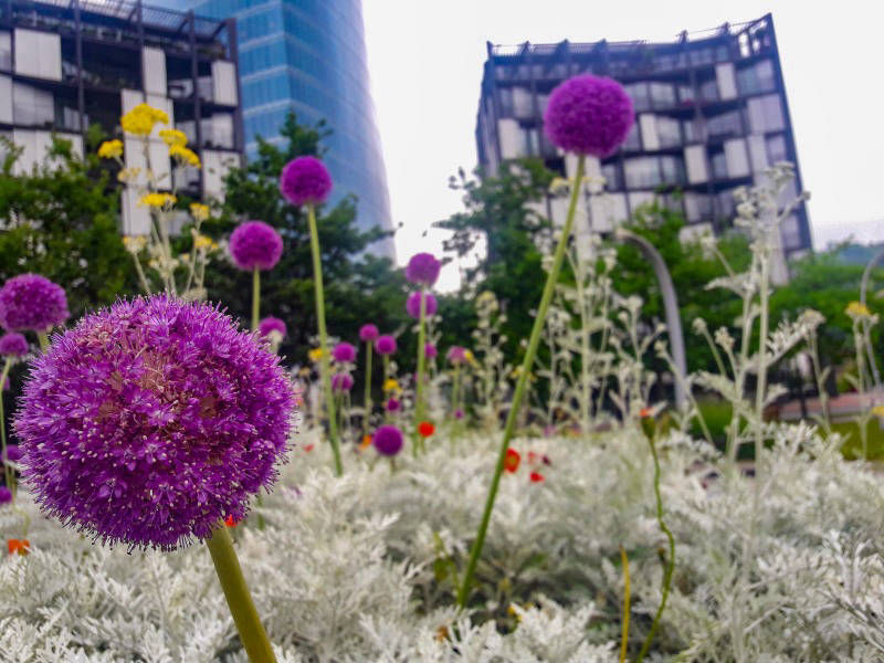 lomastro luciano fotografía